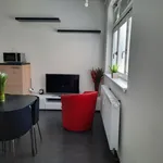 Rent 1 bedroom apartment of 42 m² in Brno