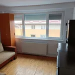 Rent 2 bedroom apartment of 50 m² in Timisoara