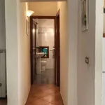 Rent 1 bedroom apartment of 60 m² in florence