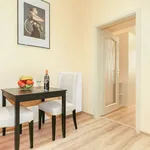 Rent 1 bedroom apartment in Praha 2