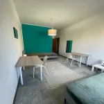 Rent a room of 150 m² in Bologna