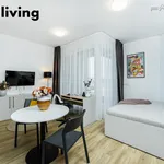 Pronajměte si 1 ložnic/e byt o rozloze 35 m² v Prague