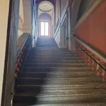 Rent 3 bedroom apartment of 80 m² in Bologna