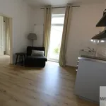 Rent 2 bedroom apartment of 37 m² in Nuremberg