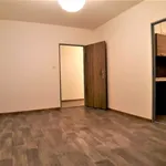 Rent 1 bedroom apartment in Most