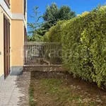 Rent 3 bedroom apartment of 90 m² in Segrate