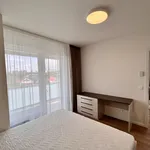 Rent 6 bedroom apartment in Capital City of Prague