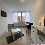 Rent 1 bedroom apartment of 26 m² in Nuremberg