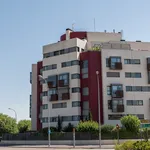 Rent 1 bedroom apartment of 116 m² in Madrid