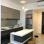 Rent 1 bedroom apartment of 45 m² in Singapore