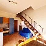 Rent 2 bedroom apartment of 34 m² in Palermo