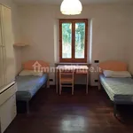 Rent 4 bedroom apartment of 80 m² in Perugia