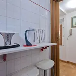 Rent 1 bedroom apartment in Rome