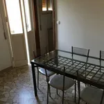 Rent a room in Bologna