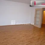 Rent 1 bedroom apartment in České Budějovice