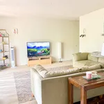 Rent 2 bedroom apartment in Walnut Creek