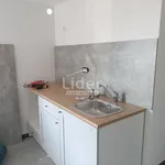 Rent 1 bedroom apartment of 45 m² in Grad Rijeka