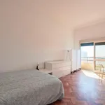 Rent 16 bedroom apartment in Lisbon