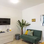 Rent 1 bedroom apartment in rome