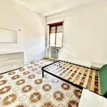 Rent 4 bedroom apartment of 85 m² in Campobasso