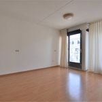 Rent 3 bedroom house of 161 m² in Eindhoven