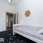 Rent 3 bedroom apartment of 70 m² in Bologna