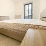 Rent 1 bedroom apartment of 50 m² in Turin