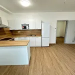 Rent 3 bedroom apartment in Prague