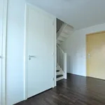 Rent 2 bedroom apartment of 127 m² in Eindhoven