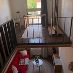 Rent 2 bedroom apartment of 50 m² in Dreieich