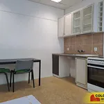 Rent 1 bedroom apartment in Blansko