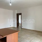 Appartamento in affitto a Lecce via San Cesario, 160, box, terrazzo, ascensore - TrovaCasa