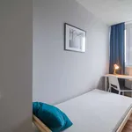 Rent a room in warsaw