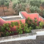 Rent 4 bedroom apartment of 100 m² in Ostuni