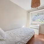 Rent 4 bedroom apartment in Lisbon