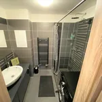 Rent 3 bedroom apartment in Prague