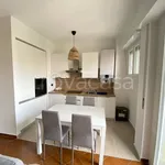 Rent 3 bedroom apartment of 75 m² in Milano