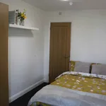 Rent 1 bedroom student apartment of 19 m² in Leicester