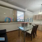 Rent 2 bedroom apartment of 60 m² in Palermo