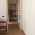 Rent 3 bedroom apartment of 65 m² in Ferrara