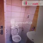 Rent 1 bedroom apartment of 15 m² in Prague