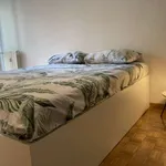 Rent a room of 80 m² in milan