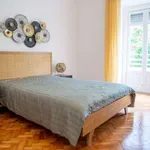 Rent a room in lisbon