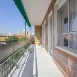 Rent a room in murcia