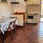 Rent 2 bedroom apartment of 40 m² in Trevignano Romano