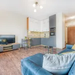 Rent 1 bedroom apartment of 29 m² in Łódź