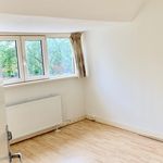 Rent a room of 125 m² in Den Haag