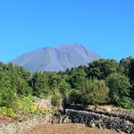 Alugar 2 quarto casa de 75 m² em Lajes do Pico