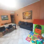 Rent 3 bedroom apartment of 75 m² in Monte Porzio Catone