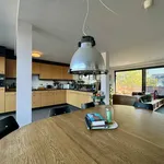 Rent 2 bedroom apartment in Gent